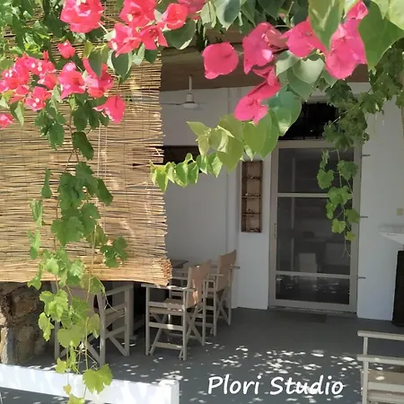 Летний дом Plori House *