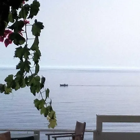 Plori House Landsted